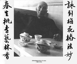 ip man teahaz